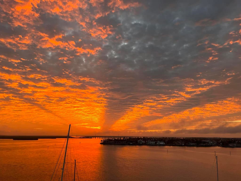 1069 BALD EAGLE S803 - Photo 2